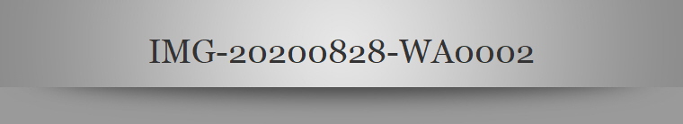 IMG-20200828-WA0002