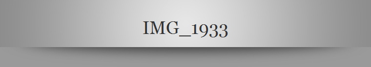 IMG_1933