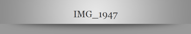 IMG_1947