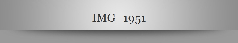 IMG_1951