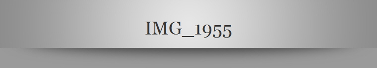 IMG_1955