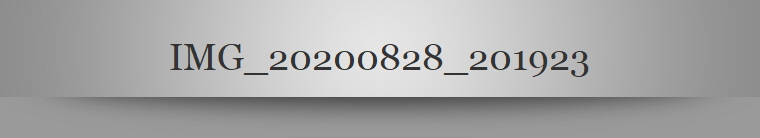 IMG_20200828_201923