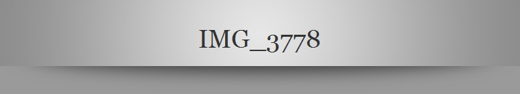 IMG_3778